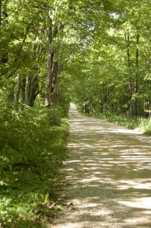 Road between McPhail & Campbell farms